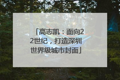 高志凯：面向22世纪，打造深圳世界级城市封面